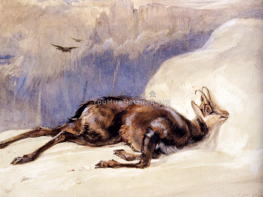 The Chamois, Sketched In The Tyrol - 约翰·费德里克·里维斯